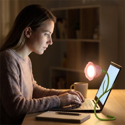 Lampe de bureau 