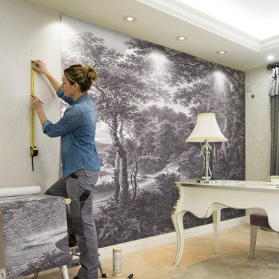 Papier peint salon