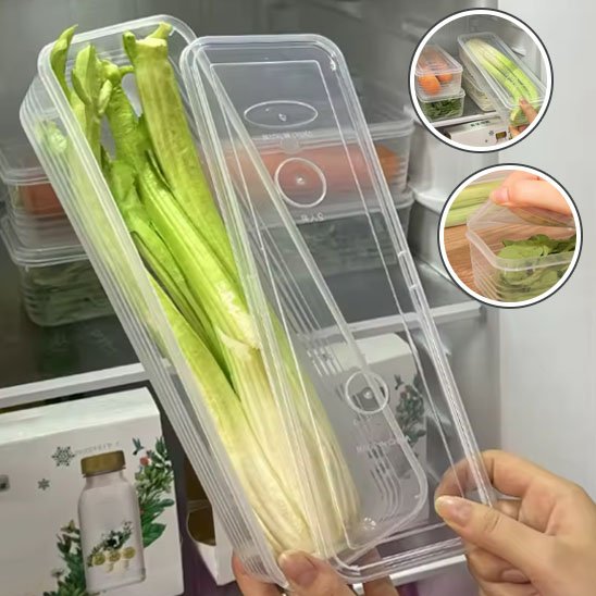 Rangement frigo
